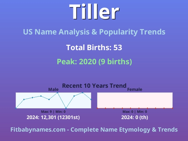 Infographic: Tiller name meaning, origin, and popularity trends in the United States (US baby name analysis chart)