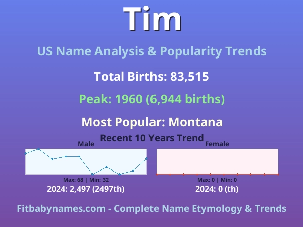 Infographic: Tim name meaning, origin, and popularity trends in the United States (US baby name analysis chart)