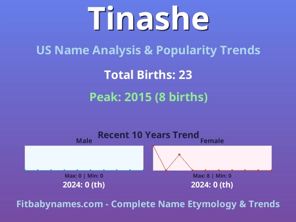 Infographic: Tinashe name meaning, origin, and popularity trends in the United States (US baby name analysis chart)