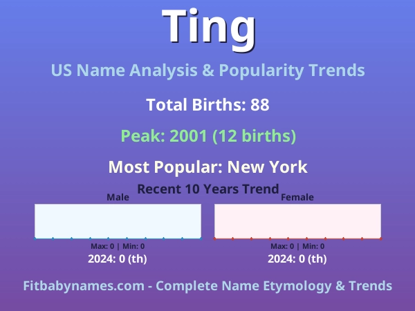 Infographic: Ting name meaning, origin, and popularity trends in the United States (US baby name analysis chart)