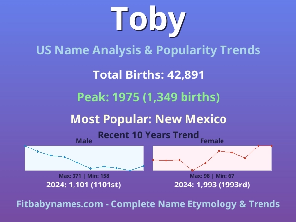 Infographic: Toby name meaning, origin, and popularity trends in the United States (US baby name analysis chart)