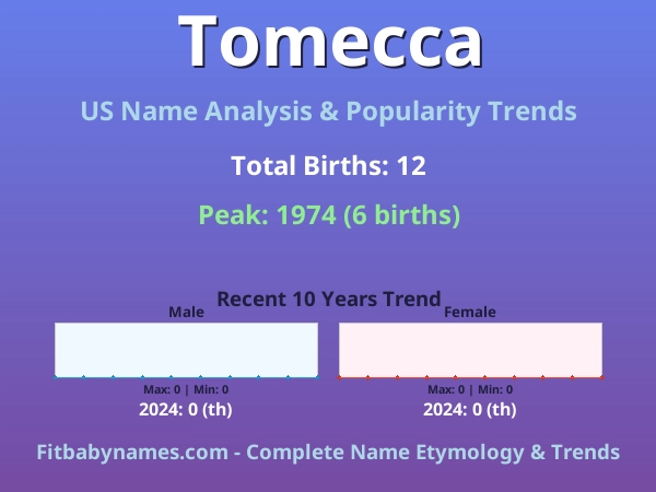 Infographic: Tomecca name meaning, origin, and popularity trends in the United States (US baby name analysis chart)