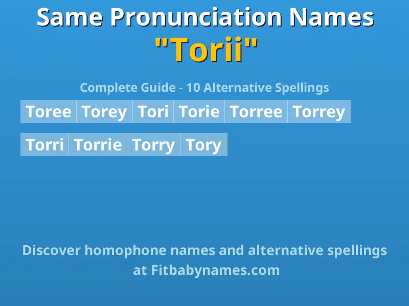 Infographic: Torii same pronunciation names, similar names, and homophone names
