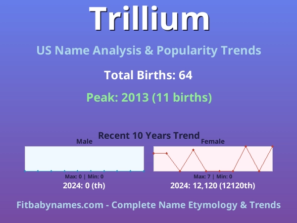 Infographic: Trillium name meaning, origin, and popularity trends in the United States (US baby name analysis chart)