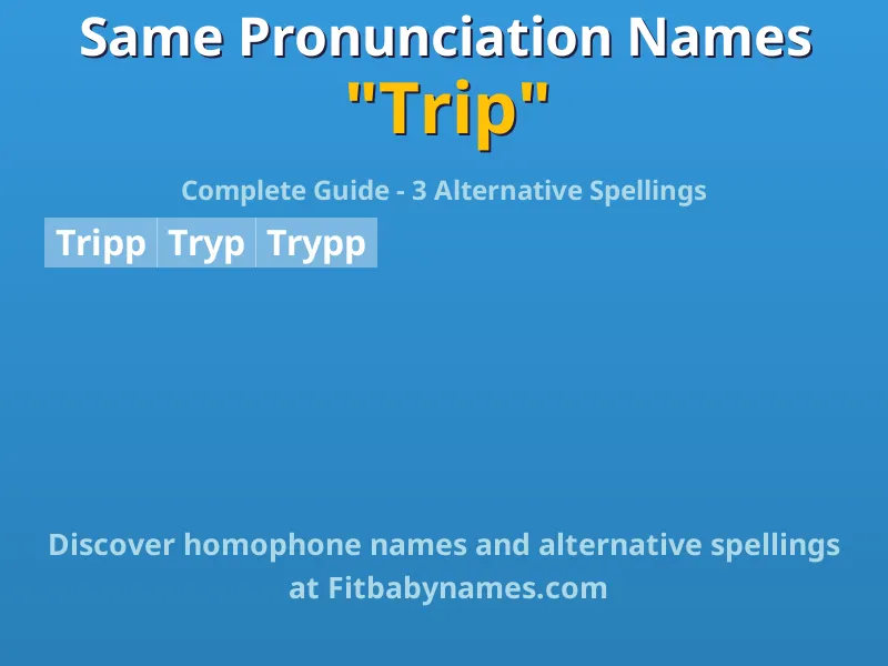 Infographic: Trip same pronunciation names, similar names, and homophone names