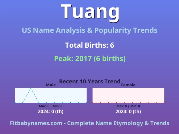 Infographic: Tuang name meaning, origin, and popularity trends in the United States (US baby name analysis chart)