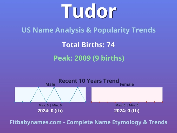 Infographic: Tudor name meaning, origin, and popularity trends in the United States (US baby name analysis chart)