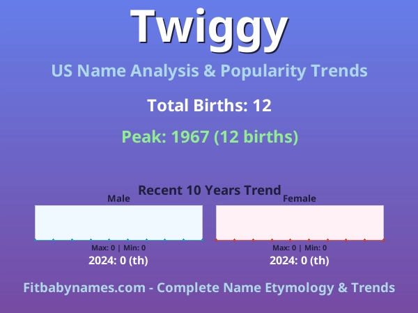 Infographic: Twiggy name meaning, origin, and popularity trends in the United States (US baby name analysis chart)