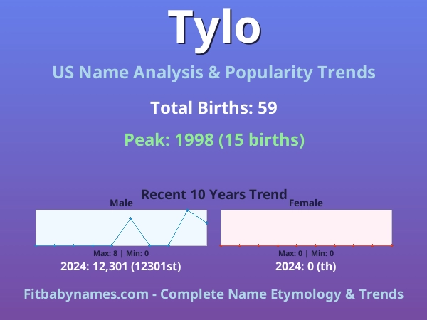 Infographic: Tylo name meaning, origin, and popularity trends in the United States (US baby name analysis chart)