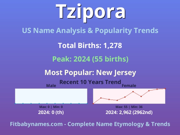 Infographic: Tzipora name meaning, origin, and popularity trends in the United States (US baby name analysis chart)