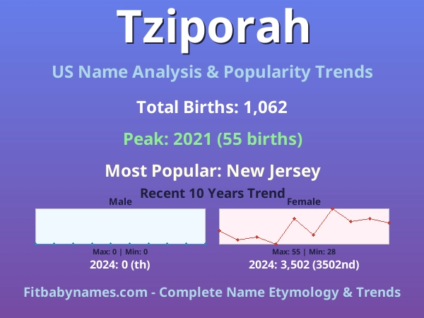 Infographic: Tziporah name meaning, origin, and popularity trends in the United States (US baby name analysis chart)