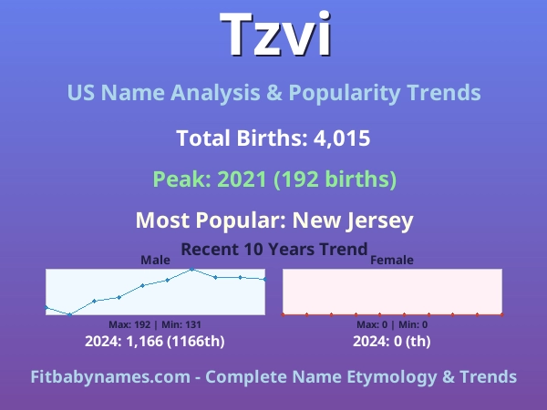 Infographic: Tzvi name meaning, origin, and popularity trends in the United States (US baby name analysis chart)