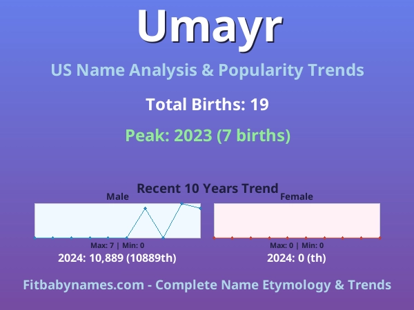 Infographic: Umayr name meaning, origin, and popularity trends in the United States (US baby name analysis chart)