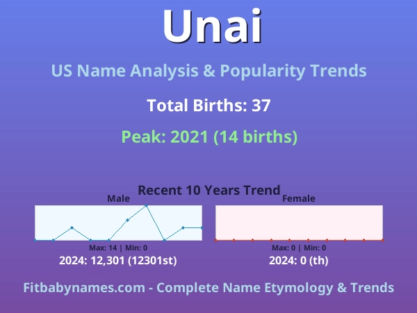 Infographic: Unai name meaning, origin, and popularity trends in the United States (US baby name analysis chart)