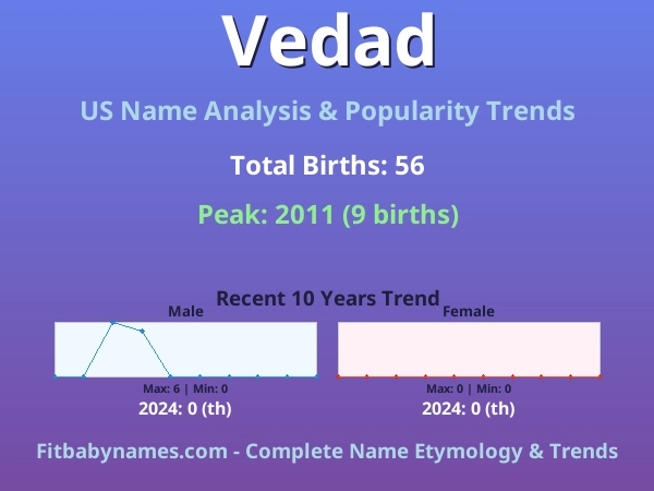 Infographic: Vedad name meaning, origin, and popularity trends in the United States (US baby name analysis chart)