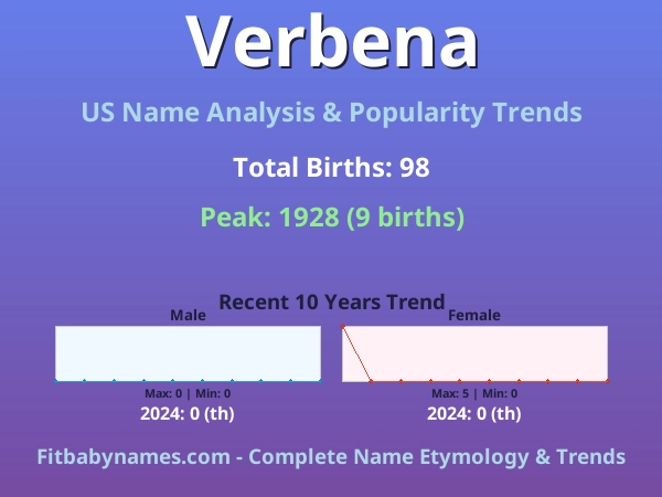 Infographic: Verbena name meaning, origin, and popularity trends in the United States (US baby name analysis chart)