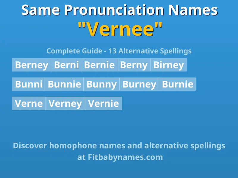 Infographic: Vernee same pronunciation names, similar names, and homophone names