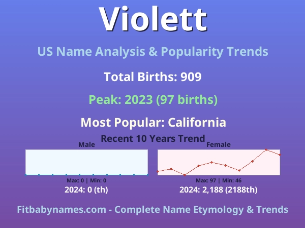 Infographic: Violett name meaning, origin, and popularity trends in the United States (US baby name analysis chart)