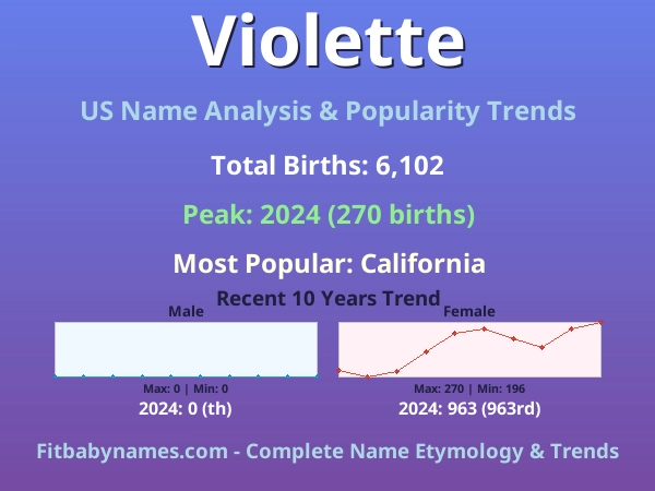 Infographic: Violette name meaning, origin, and popularity trends in the United States (US baby name analysis chart)