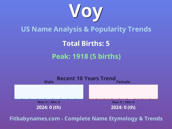 Infographic: Voy name meaning, origin, and popularity trends in the United States (US baby name analysis chart)