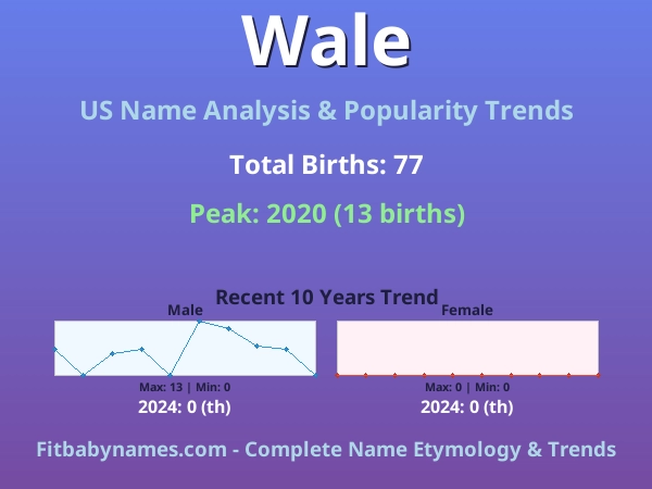 Infographic: Wale name meaning, origin, and popularity trends in the United States (US baby name analysis chart)