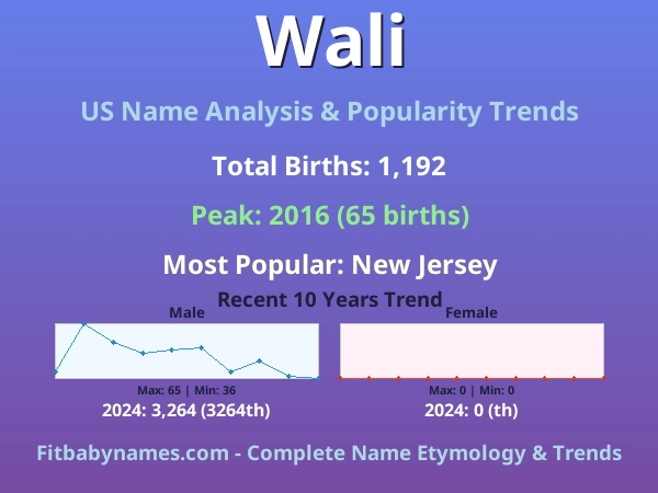 Infographic: Wali name meaning, origin, and popularity trends in the United States (US baby name analysis chart)