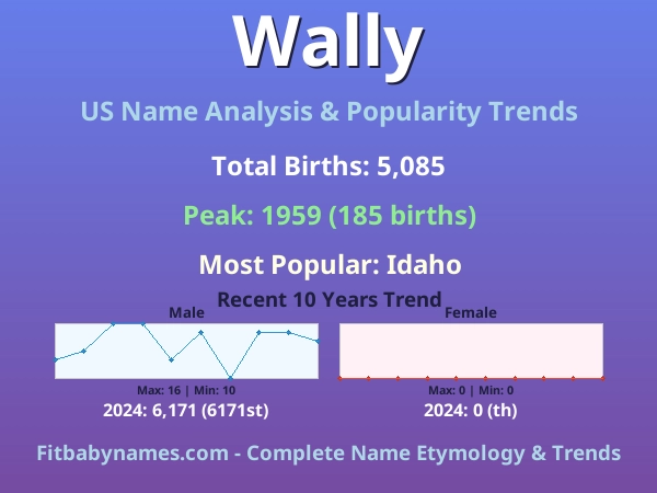 Infographic: Wally name meaning, origin, and popularity trends in the United States (US baby name analysis chart)