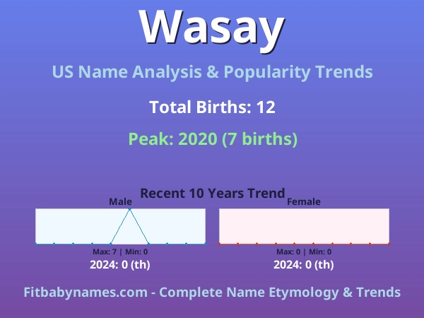 Infographic: Wasay name meaning, origin, and popularity trends in the United States (US baby name analysis chart)