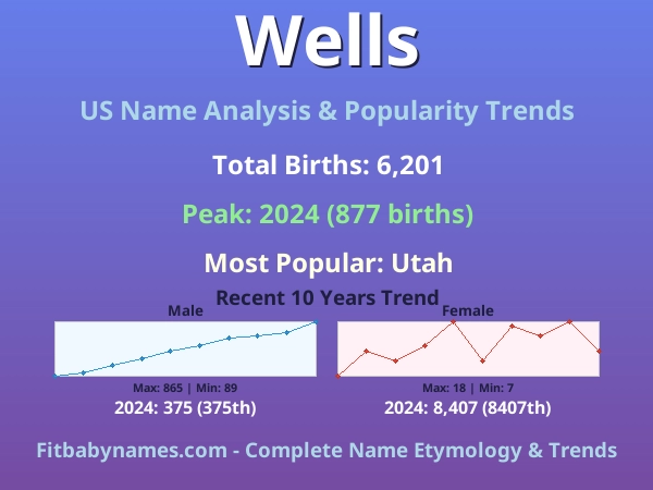 Infographic: Wells name meaning, origin, and popularity trends in the United States (US baby name analysis chart)