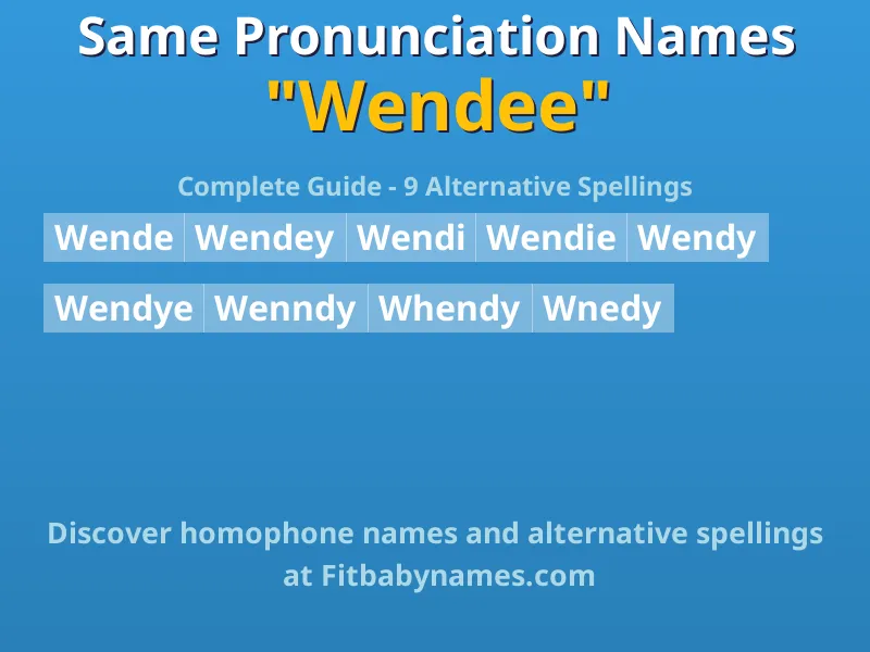 Infographic: Wendee same pronunciation names, similar names, and homophone names