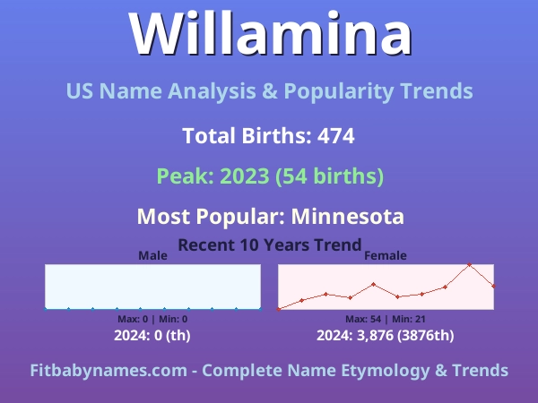 Infographic: Willamina name meaning, origin, and popularity trends in the United States (US baby name analysis chart)