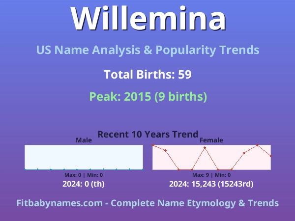 Infographic: Willemina name meaning, origin, and popularity trends in the United States (US baby name analysis chart)