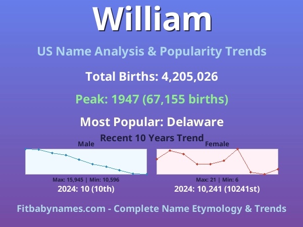 Infographic: William name meaning, origin, and popularity trends in the United States (US baby name analysis chart)