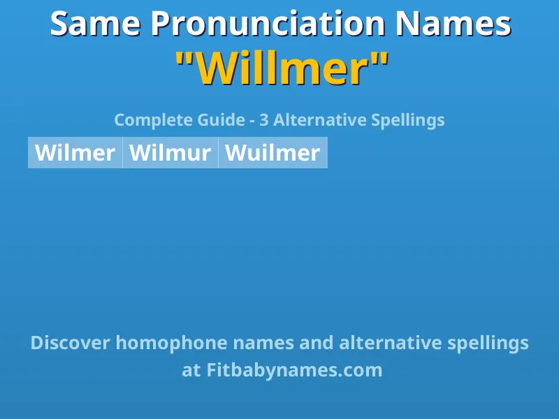 Infographic: Willmer same pronunciation names, similar names, and homophone names