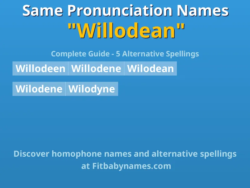 Infographic: Willodean same pronunciation names, similar names, and homophone names
