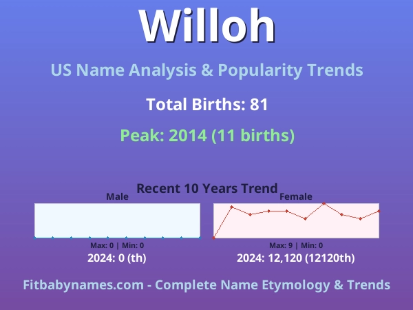 Infographic: Willoh name meaning, origin, and popularity trends in the United States (US baby name analysis chart)