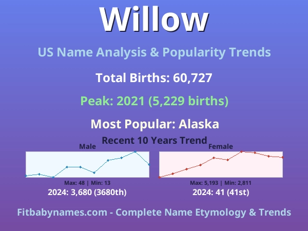 Infographic: Willow name meaning, origin, and popularity trends in the United States (US baby name analysis chart)