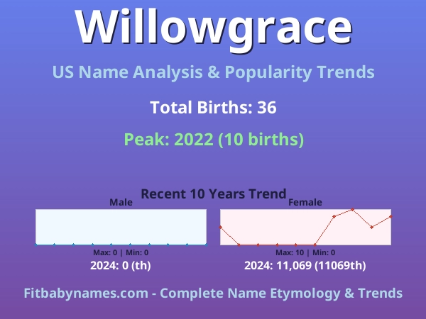 Infographic: Willowgrace name meaning, origin, and popularity trends in the United States (US baby name analysis chart)