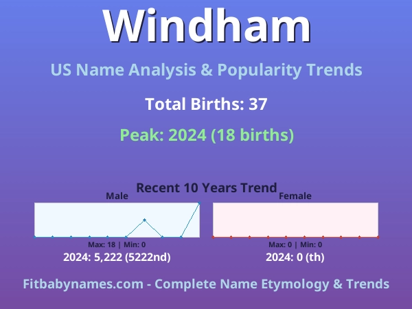 Infographic: Windham name meaning, origin, and popularity trends in the United States (US baby name analysis chart)