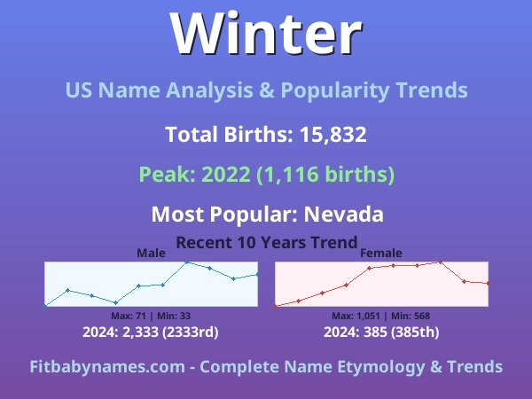 Infographic: Winter name meaning, origin, and popularity trends in the United States (US baby name analysis chart)
