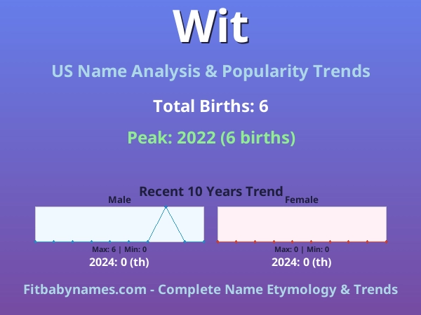 Infographic: Wit name meaning, origin, and popularity trends in the United States (US baby name analysis chart)