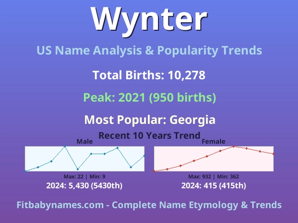 Infographic: Wynter name meaning, origin, and popularity trends in the United States (US baby name analysis chart)