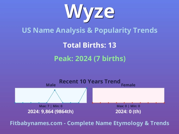 Infographic: Wyze name meaning, origin, and popularity trends in the United States (US baby name analysis chart)