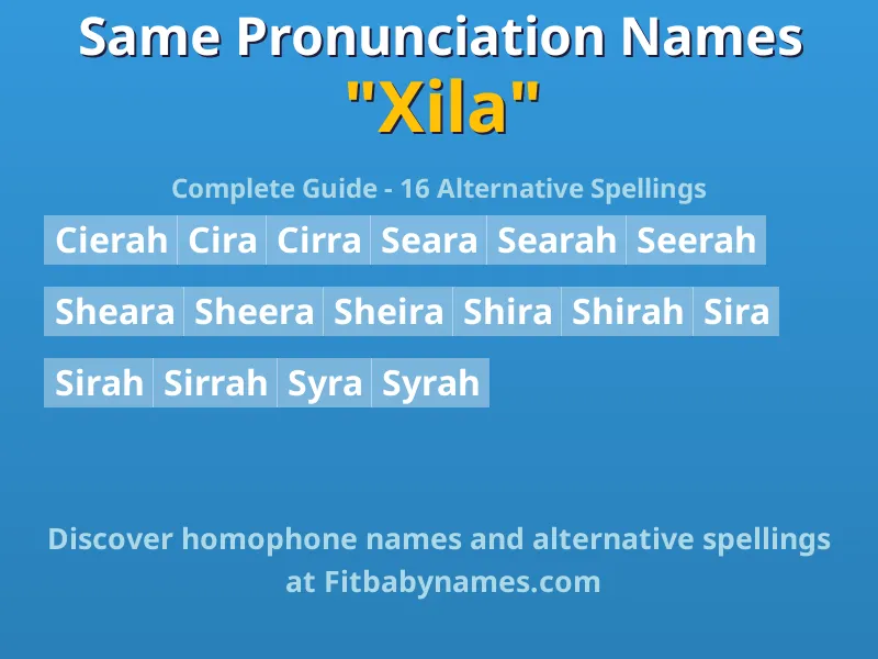 Infographic: Xila same pronunciation names, similar names, and homophone names