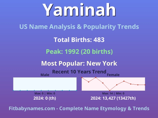Infographic: Yaminah name meaning, origin, and popularity trends in the United States (US baby name analysis chart)