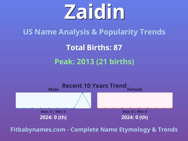 Infographic: Zaidin name meaning, origin, and popularity trends in the United States (US baby name analysis chart)