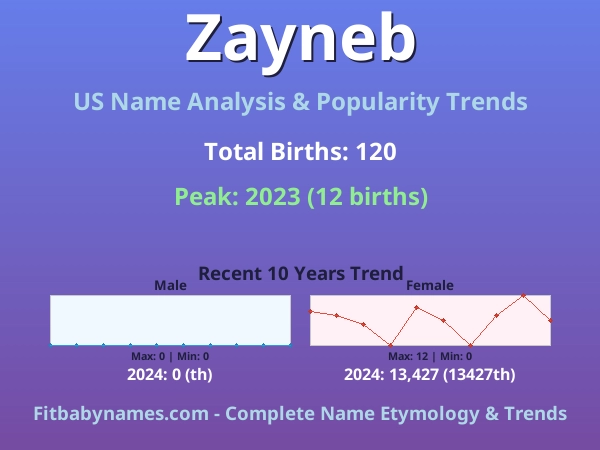 Infographic: Zayneb name meaning, origin, and popularity trends in the United States (US baby name analysis chart)