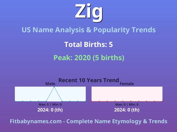 Infographic: Zig name meaning, origin, and popularity trends in the United States (US baby name analysis chart)