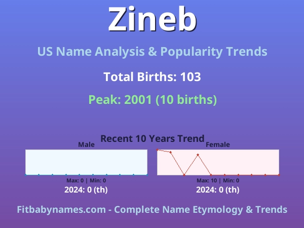 Infographic: Zineb name meaning, origin, and popularity trends in the United States (US baby name analysis chart)
