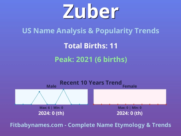 Infographic: Zuber name meaning, origin, and popularity trends in the United States (US baby name analysis chart)